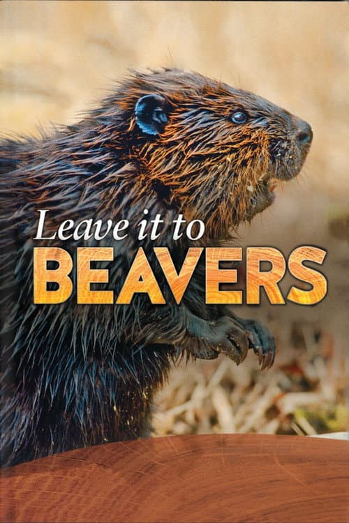 Leave it to Beavers
