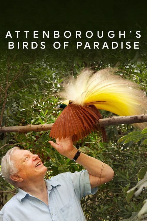 Birds of Paradise