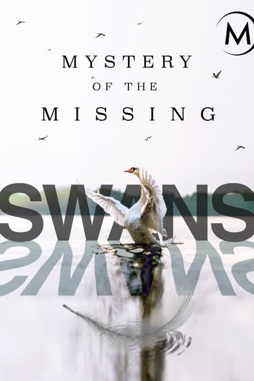 Swans: Mystery of the Missing