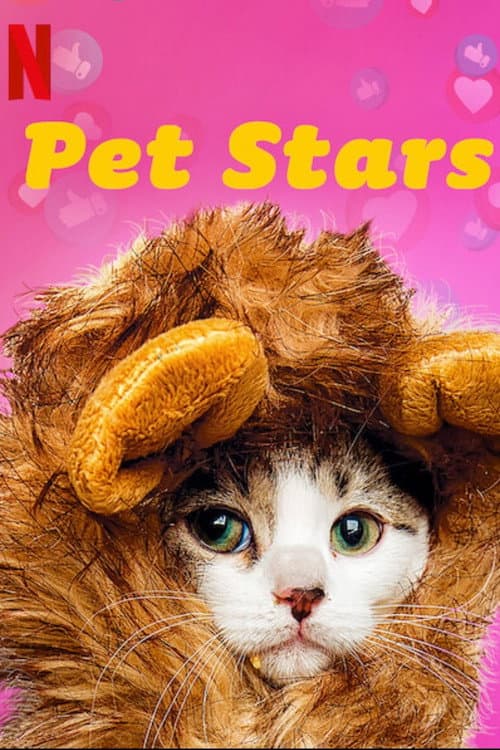 Pet Stars