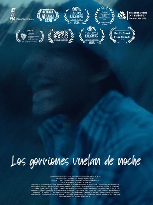 Los gorriones vuelan de noche