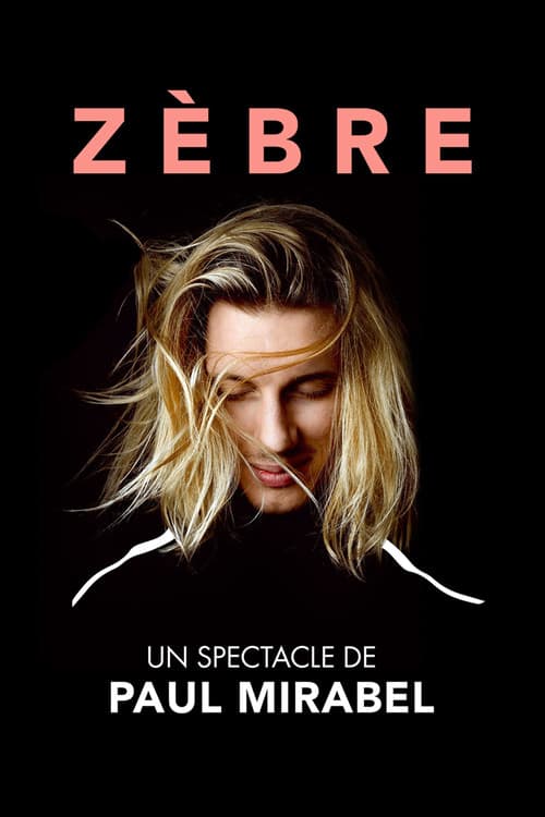 Paul Mirabel : Zèbre
