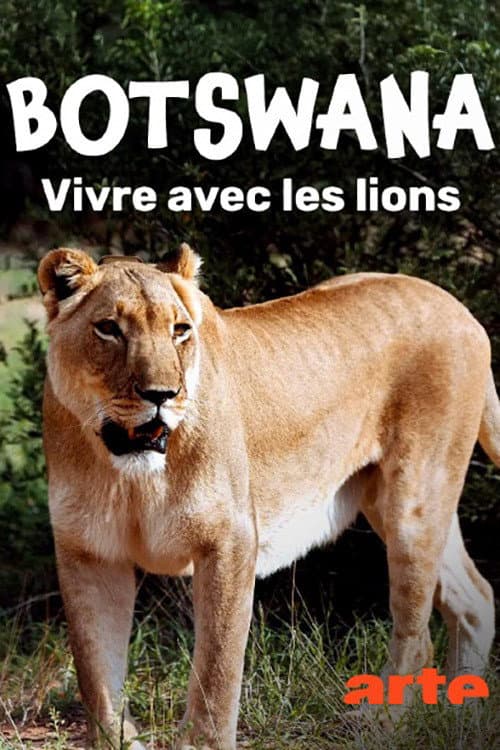 Botswana, Leben mit Löwen
