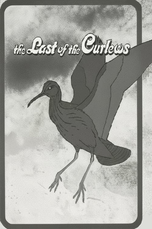 The Last of the Curlews