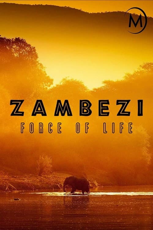 Zambezi: Force of Life