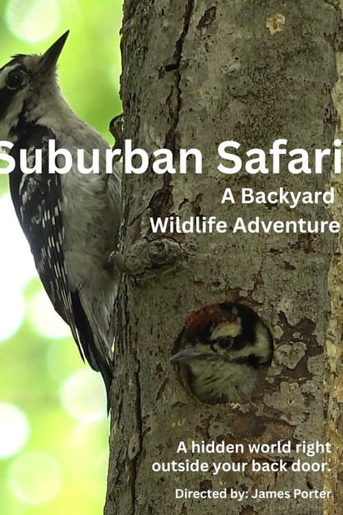 Suburban Safari: A Backyard Wildlife Adventure