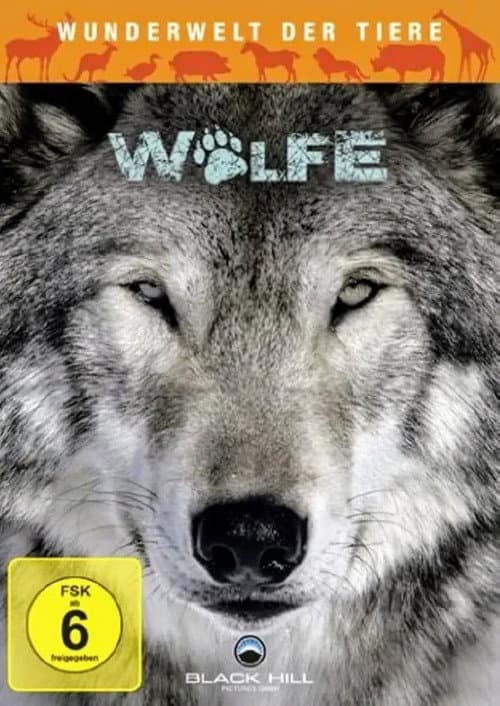 Wunderwelt der Tiere - Wölfe