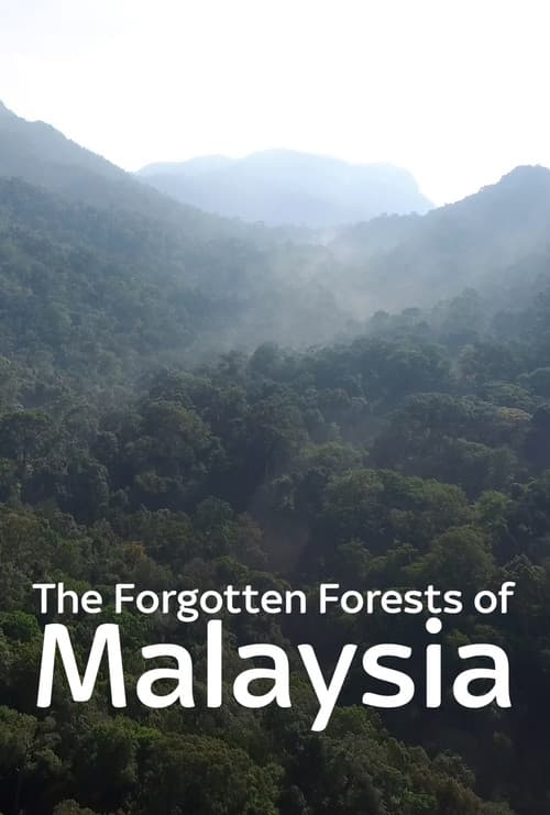 The Forgotten Forests of Malaysia