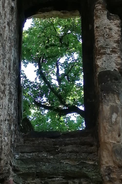 The Ruins of Seyssuel's Castle