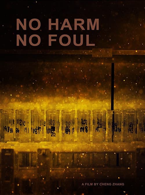No Harm No Foul