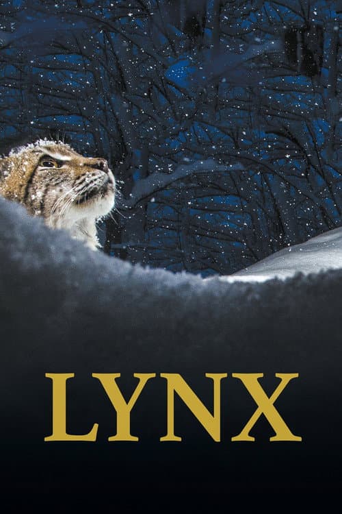 Lynx