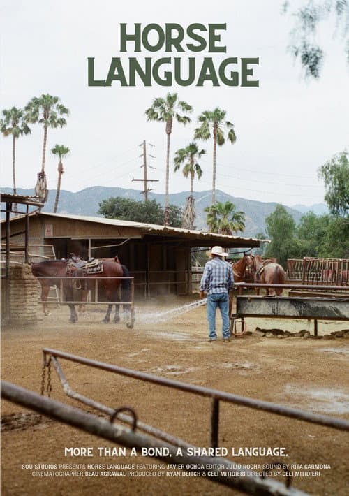 Horse Language