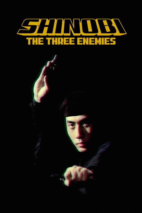 Shinobi no mono 8: The Three Enemies