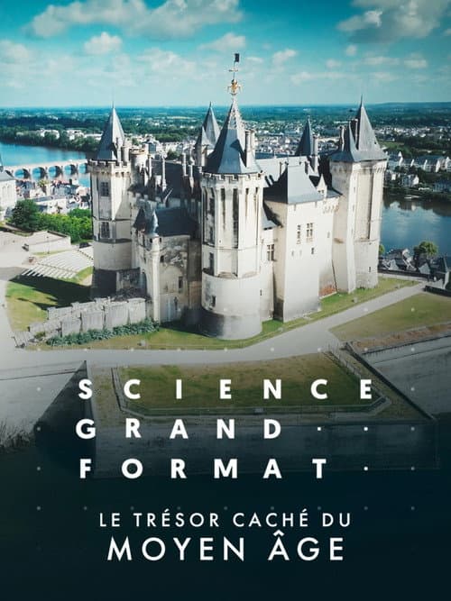 Le trésor caché du Moyen Age