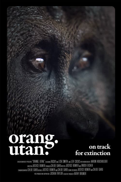 Orang. Utan.