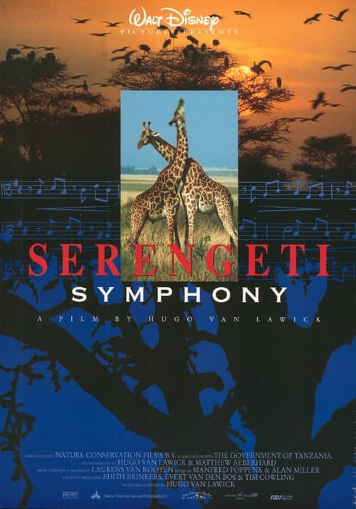 Serengeti Symphony