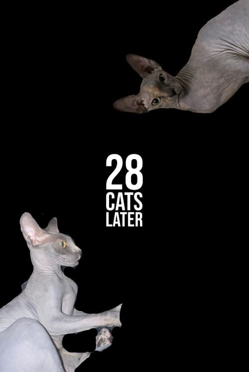28 Cats Later