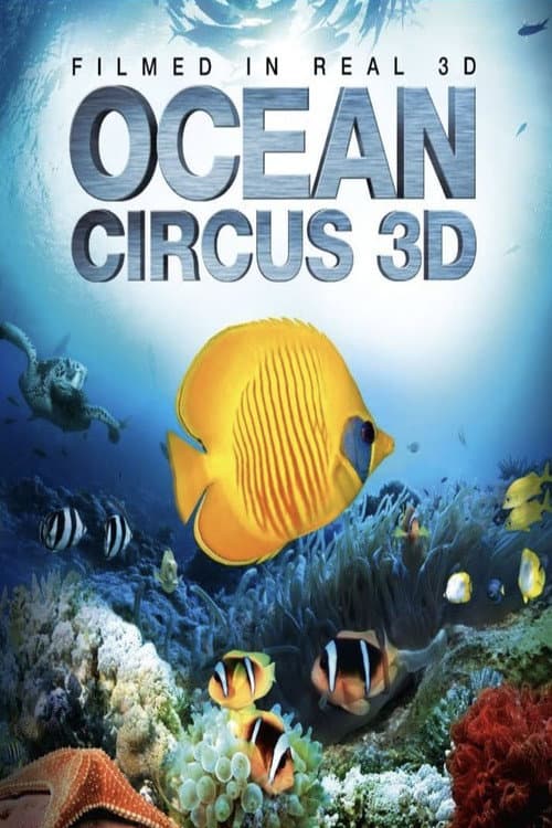 Ocean Circus 3D: Underwater Around the World